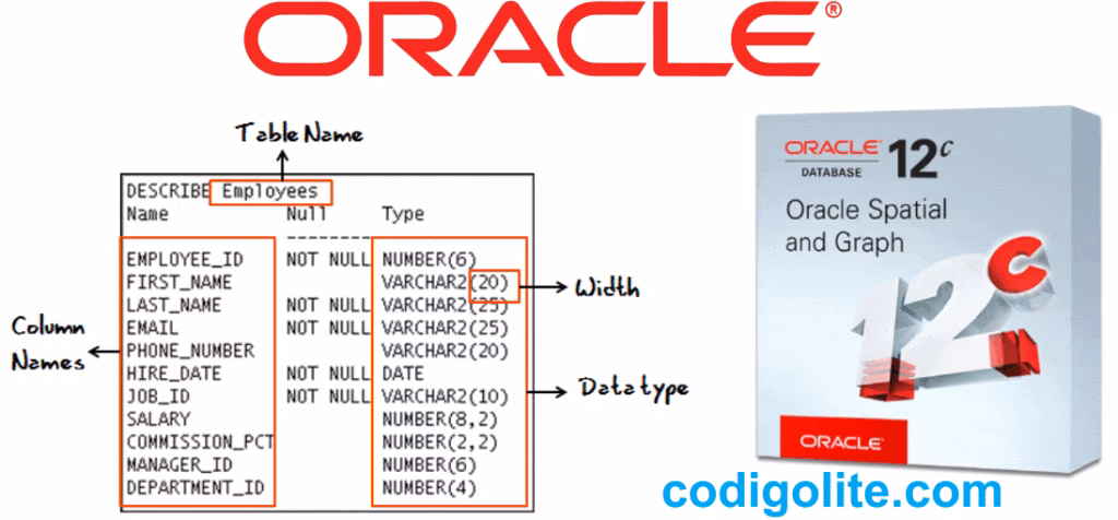 ¿Cómo encontrar objetos de base de datos en Oracle?
