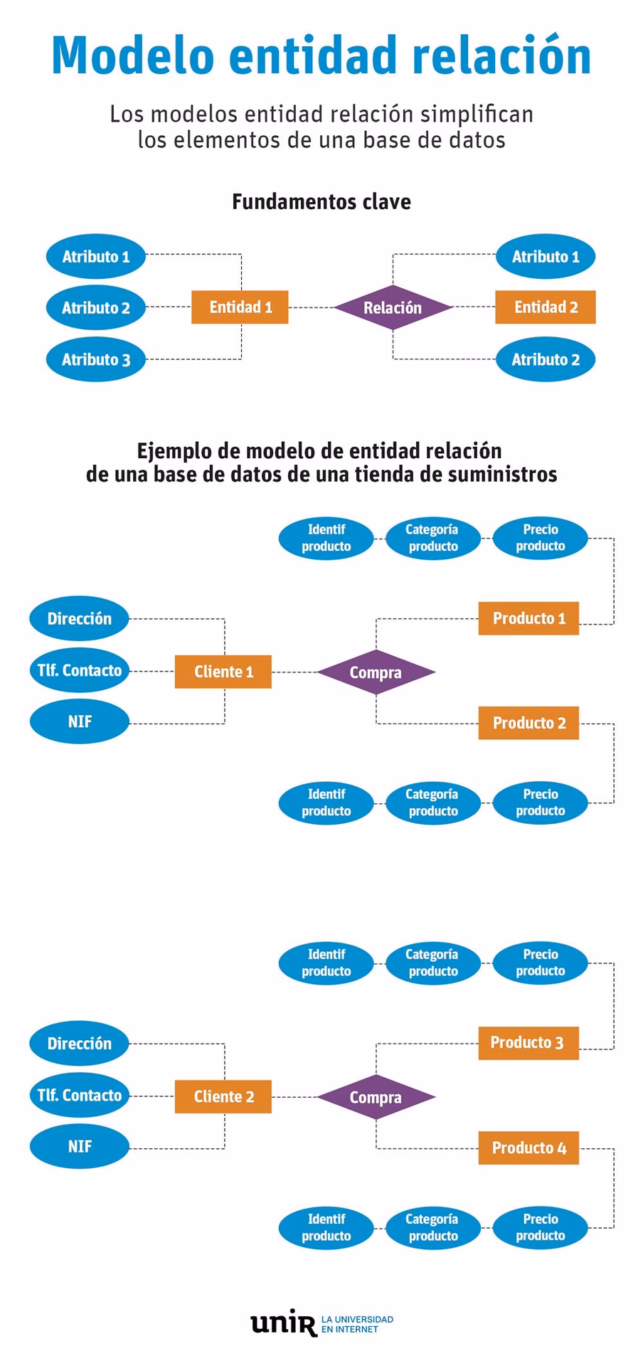 ¿Qué es una entidad en las bases de datos?