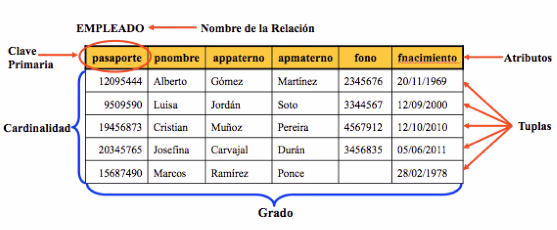 ¿Cuál es un ejemplo de un dominio de base de datos?