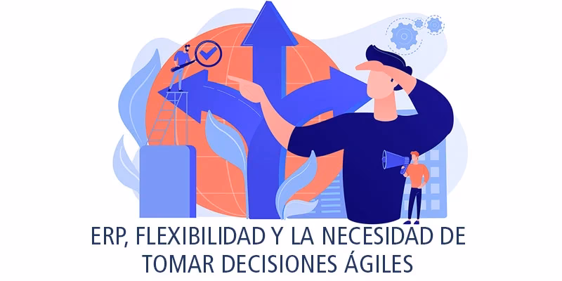 ¿Qué es la flexibilidad de un sistema?
