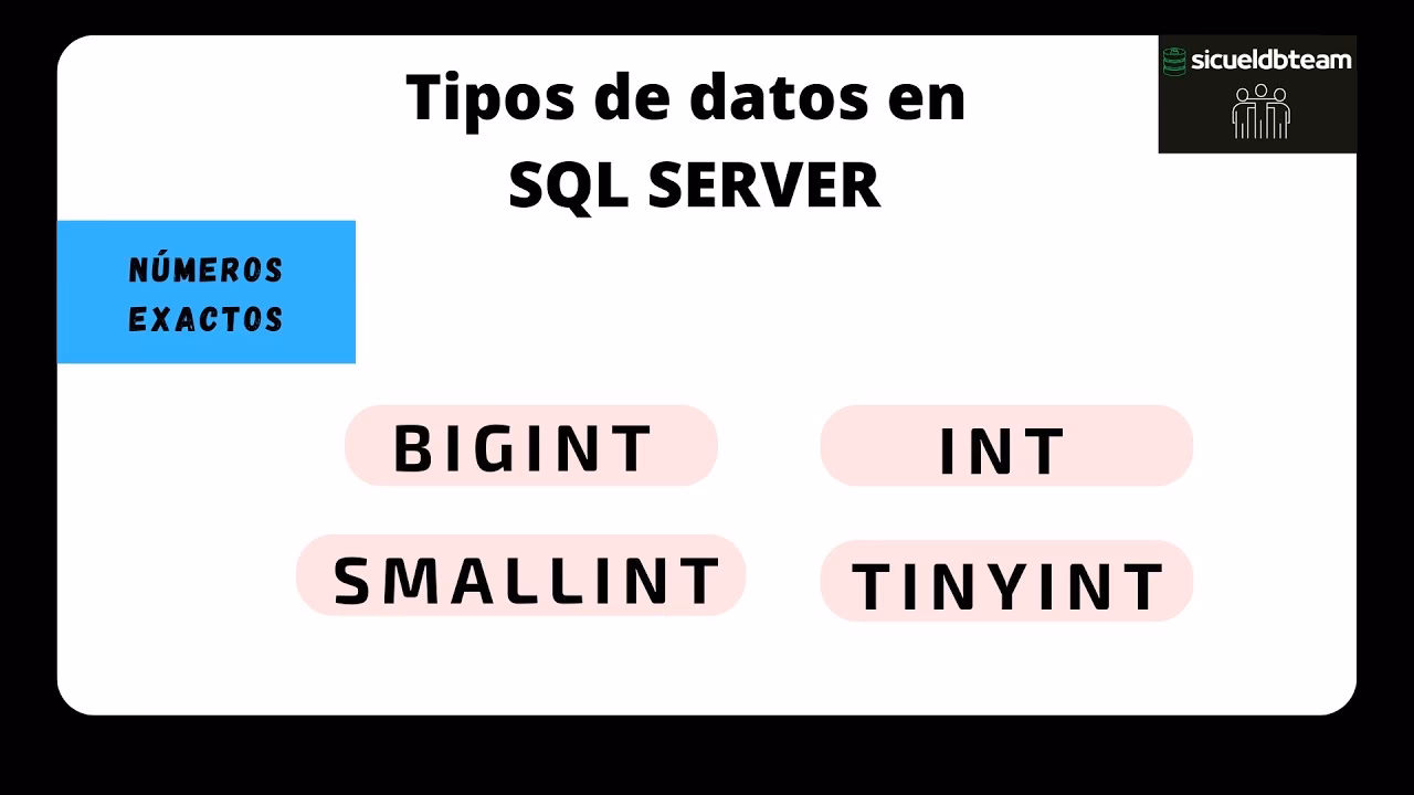 ¿Qué es int en la base de datos?