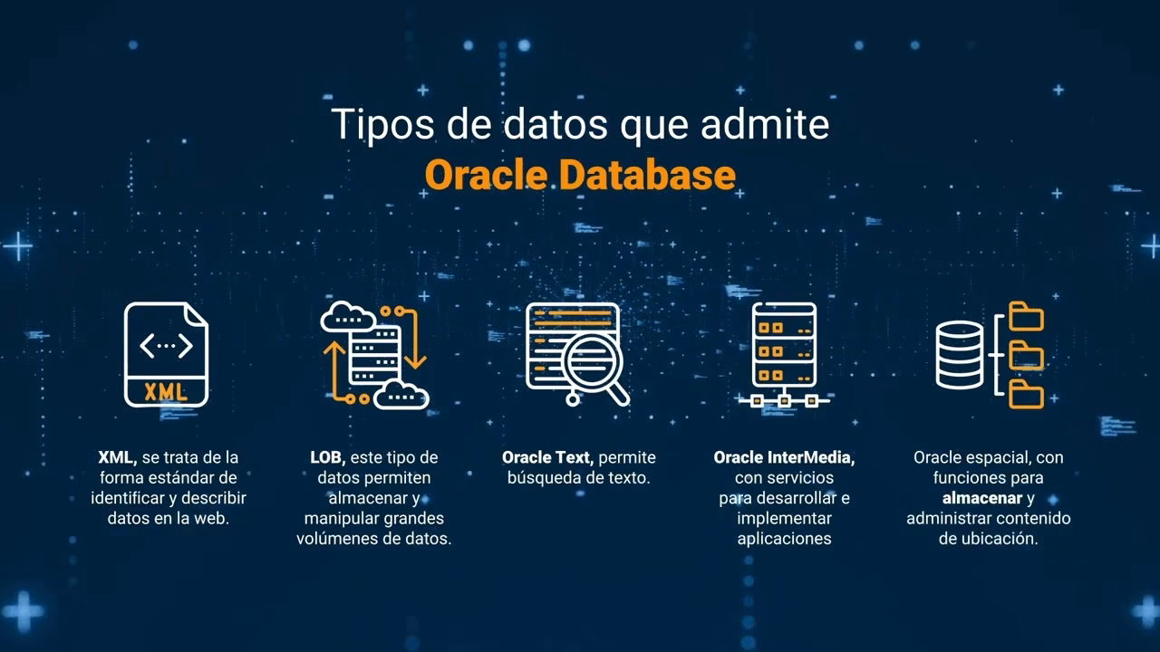 ¿Por qué se prefiere una base de datos Oracle?