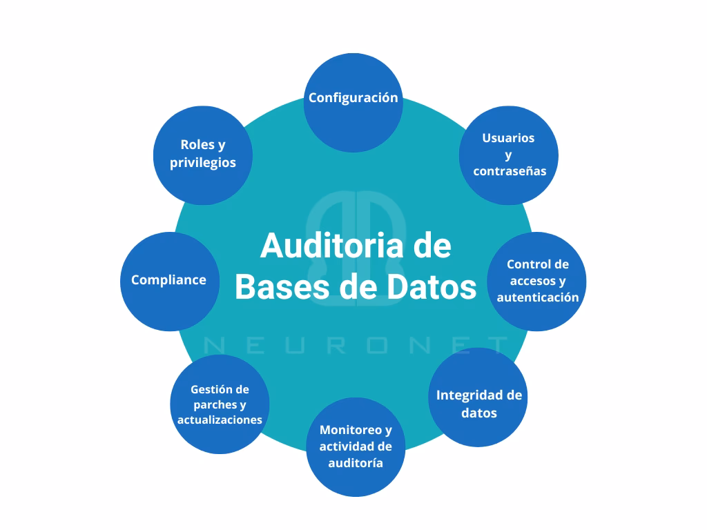 ¿Qué se entiende por auditoría de datos?