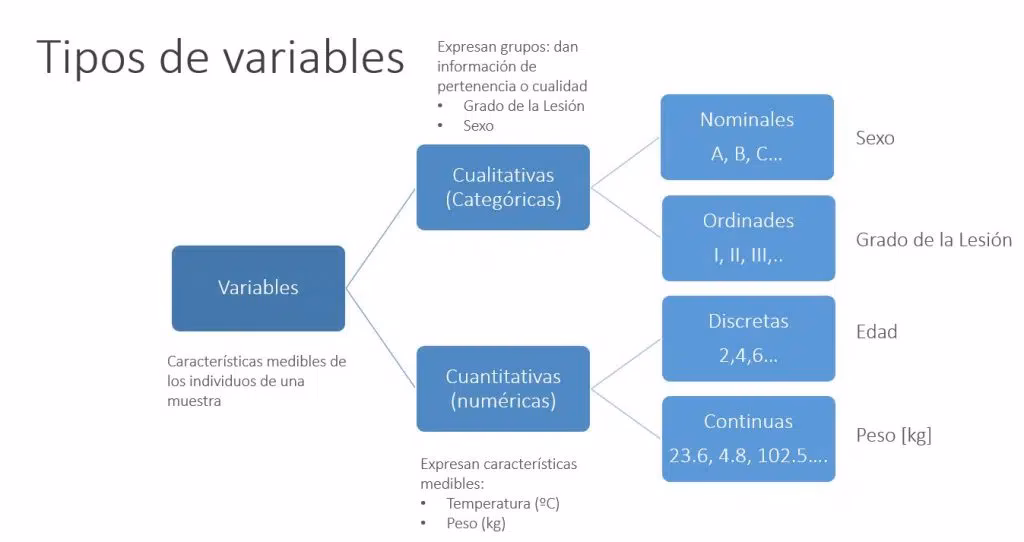 ¿Qué son las variables en una base de datos?
