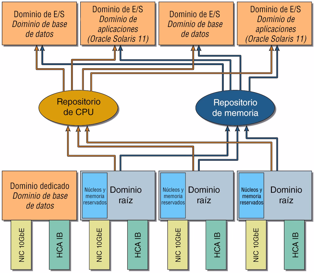 ¿Cuántas clases de dominio hay?