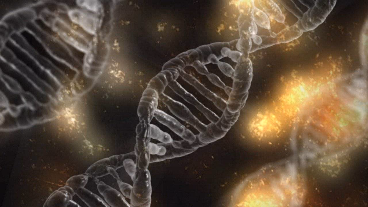 ¿Qué tan efectiva es la base de datos nacional de ADN del Reino Unido?