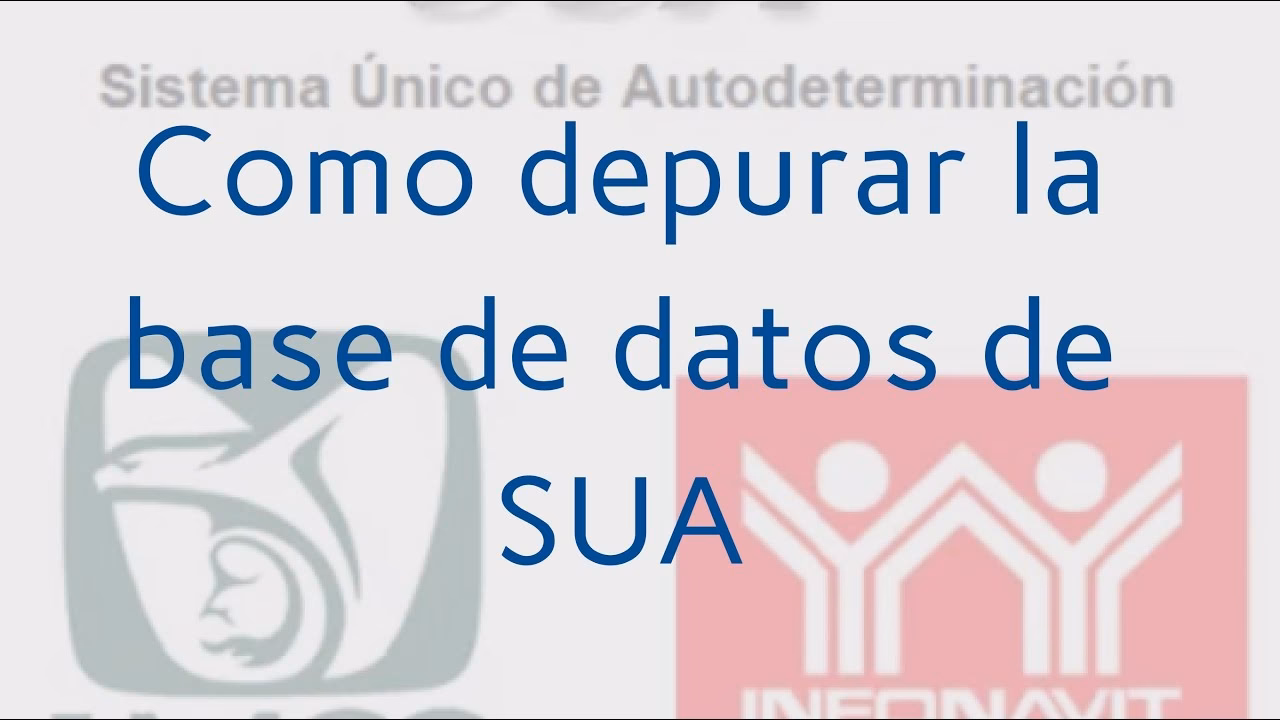 ¿Qué datos contiene el SUA?