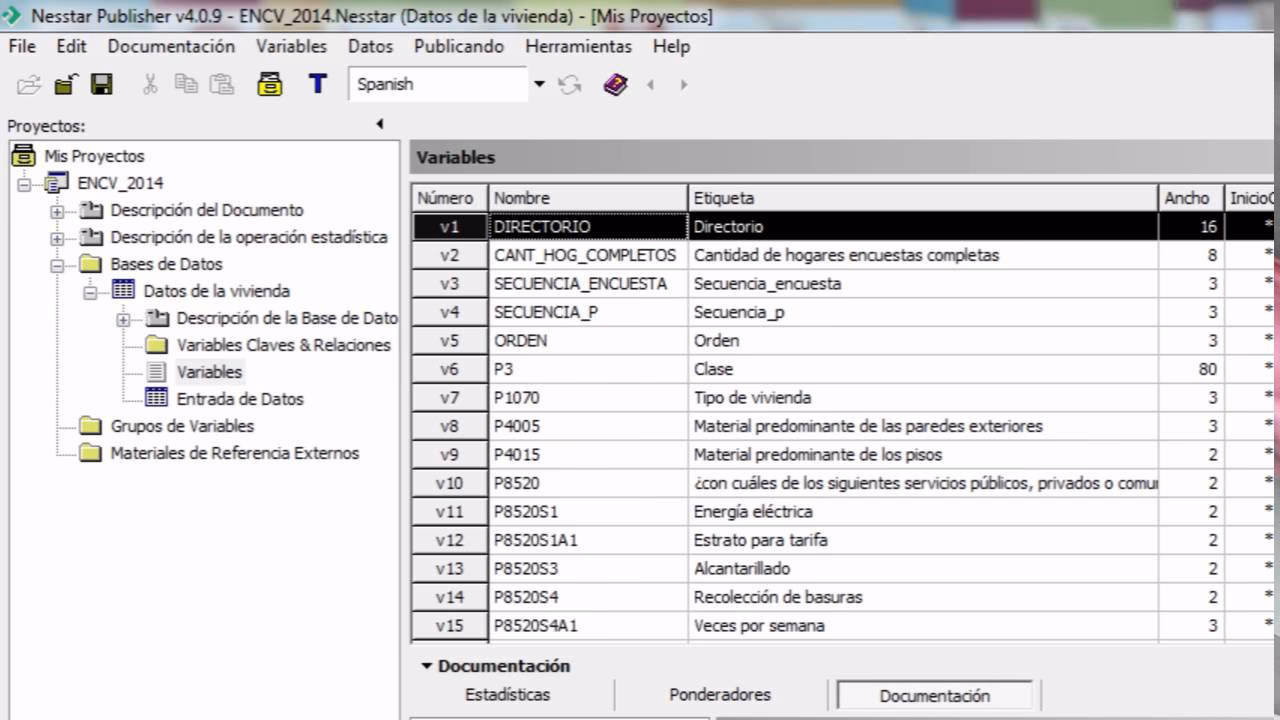 ¿Qué son los microdatos?