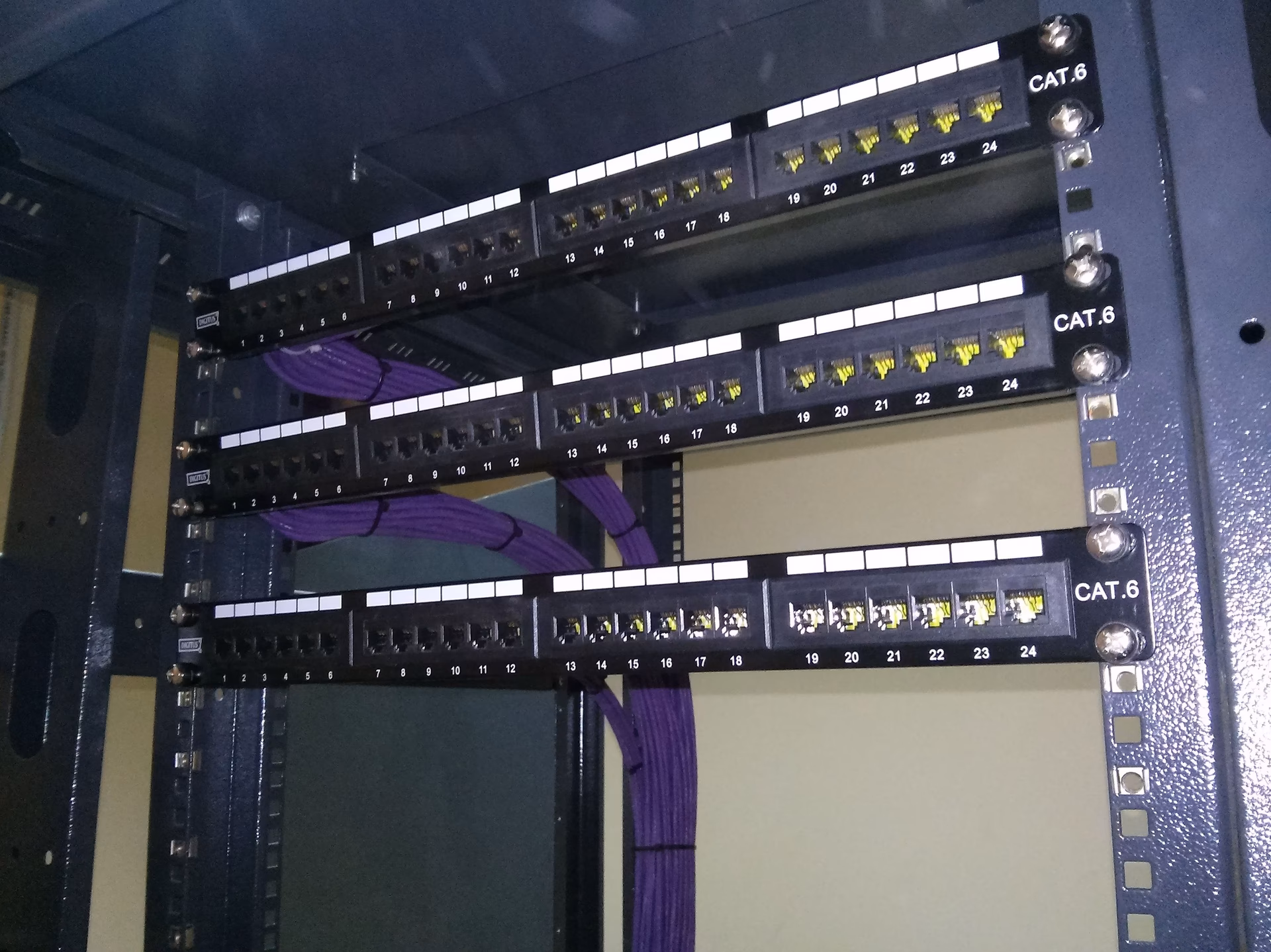 ¿Qué son los datos de panel?