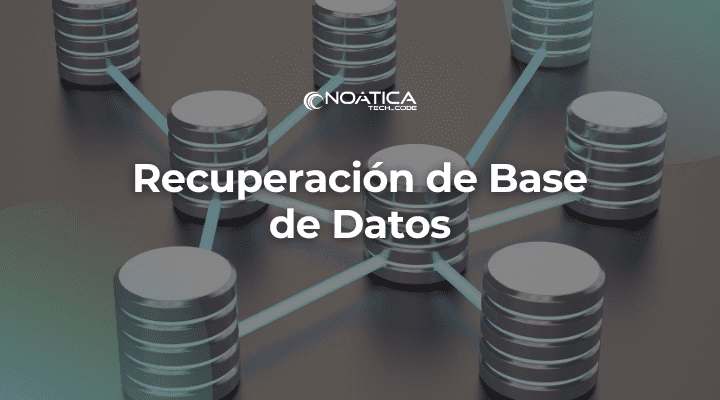 ¿Qué es el almacenamiento de datos y las bases de datos?