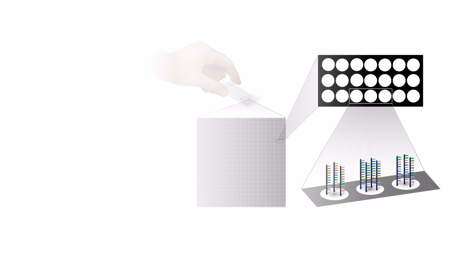 ¿La gente todavía utiliza microarrays?
