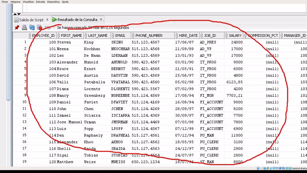 ¿Puedes almacenar un diccionario en una base de datos?